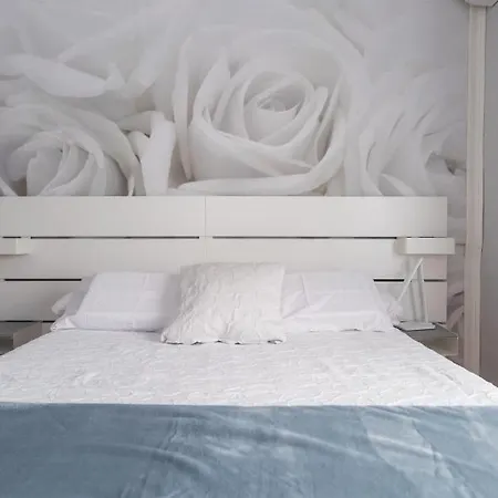 Accommodatie bij particulieren Eve ,estacion Alicante